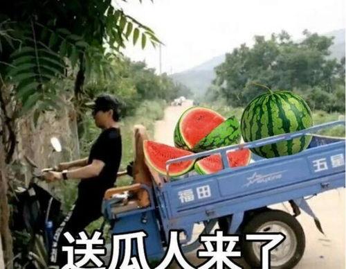 最近大瓜事件,揭秘明星隐私风波背后的真相-第1张图片-国产精品黑料吃瓜网曝