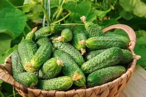 最近大瓜事件,揭秘明星隐私风波背后的真相-第2张图片-国产精品黑料吃瓜网曝