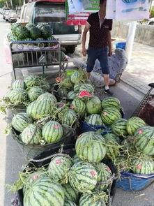 近期汾阳吃瓜事件-第1张图片-国产精品黑料吃瓜网曝