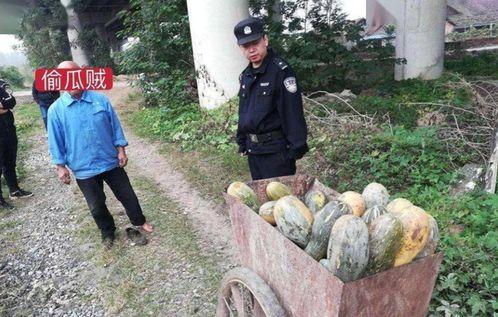 近期汾阳吃瓜事件-第2张图片-国产精品黑料吃瓜网曝