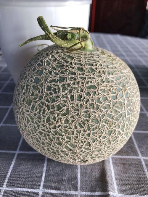 网纹瓜玫珑瓜怎么吃,网纹瓜与玫珑瓜的多样食法探索-第1张图片-国产精品黑料吃瓜网曝