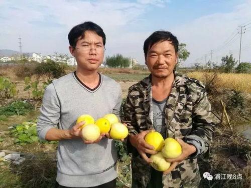 吃瓜群众在行动-第1张图片-国产精品黑料吃瓜网曝