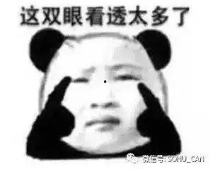 傻子吃瓜台词,揭秘娱乐圈的疯狂幕后-第1张图片-国产精品黑料吃瓜网曝