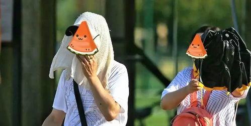 靠本事吃瓜,揭秘娱乐圈背后的真实故事-第2张图片-国产精品黑料吃瓜网曝