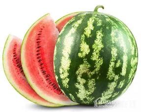 吃瓜看谁吃的快,看谁吃瓜最快，瓜王争霸赛一触即发-第2张图片-国产精品黑料吃瓜网曝