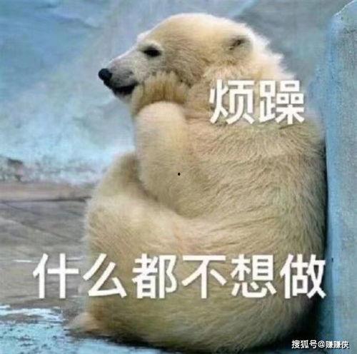 吃瓜群众发誓图片,吃瓜群众见证瓜界风云-第1张图片-国产精品黑料吃瓜网曝