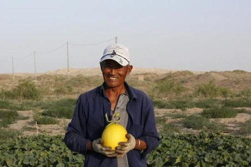 甘肃野外吃瓜,一场别开生面的夏日食趣之旅-第3张图片-国产精品黑料吃瓜网曝