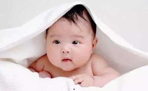 小孩可以吃丑瓜,孩子健康成长的营养佳品-第3张图片-国产精品黑料吃瓜网曝