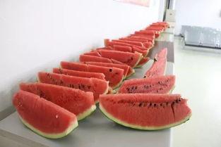 小鑫吃瓜,揭秘娱乐圈那些不为人知的幕后故事-第2张图片-国产精品黑料吃瓜网曝