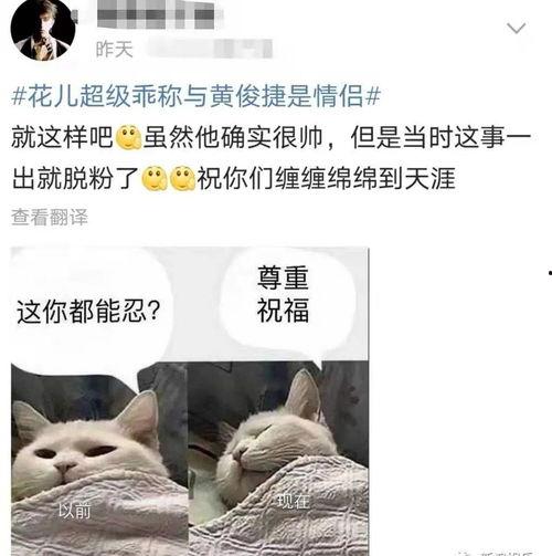 好家伙吃瓜视频,揭秘娱乐圈幕后故事-第3张图片-国产精品黑料吃瓜网曝