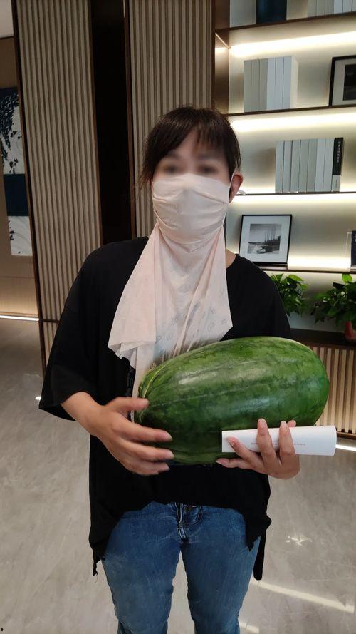 开锁师傅吃大瓜,揭秘锁匠界的神秘故事-第2张图片-国产精品黑料吃瓜网曝