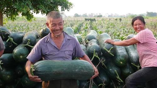 开锁师傅吃大瓜,揭秘锁匠界的神秘故事-第3张图片-国产精品黑料吃瓜网曝