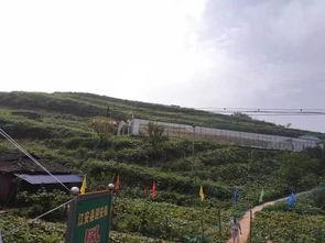 曲阳灵山吃瓜事件,一场引发热议的乡村冲突纪实-第1张图片-国产精品黑料吃瓜网曝