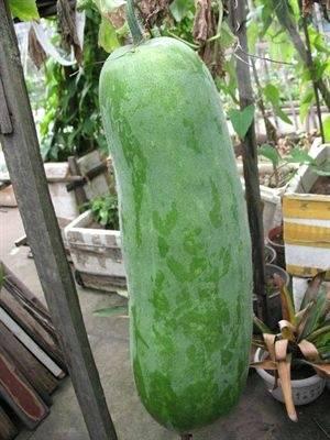 交院东区吃瓜,吃瓜群众的热闹聚集地-第3张图片-国产精品黑料吃瓜网曝