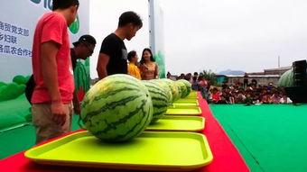 吃瓜到处跑,跟随热点，畅游信息海洋-第2张图片-国产精品黑料吃瓜网曝