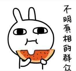 吃瓜节搞笑段子,爆笑段子盘点，笑出腹肌的年度盛宴-第3张图片-国产精品黑料吃瓜网曝