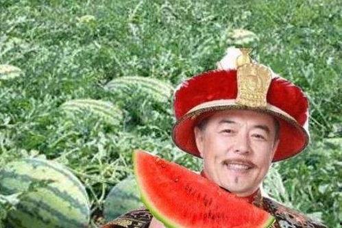 讨论吃瓜,揭秘网络吃瓜文化的魅力与争议-第1张图片-国产精品黑料吃瓜网曝