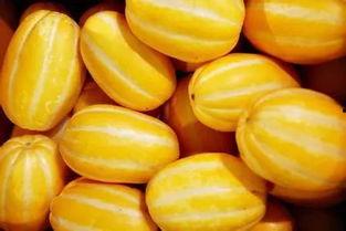 以吃瓜名义-第1张图片-国产精品黑料吃瓜网曝