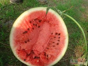 吃瓜大爷云南,吃瓜大爷的美食之旅-第2张图片-国产精品黑料吃瓜网曝