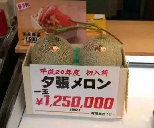 仅供吃瓜娱乐,揭秘明星们的吃瓜日常-第3张图片-国产精品黑料吃瓜网曝