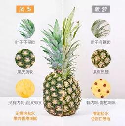 梦见吃瓜抱瓜,瓜果飘香,瓜趣盎然-第2张图片-国产精品黑料吃瓜网曝 梦见吃瓜抱瓜,瓜果飘香,瓜趣盎然-第2张图片-国产精品黑料吃瓜网曝