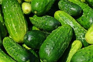 梦见吃瓜抱瓜,瓜果飘香,瓜趣盎然-第3张图片-国产精品黑料吃瓜网曝 梦见吃瓜抱瓜,瓜果飘香,瓜趣盎然-第3张图片-国产精品黑料吃瓜网曝