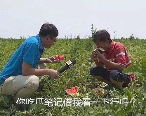 阿姨吃瓜图,夏日休闲时光的温馨瞬间-第1张图片-国产精品黑料吃瓜网曝