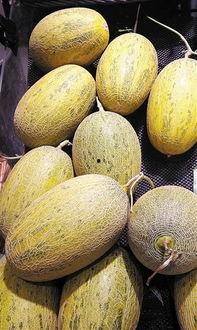 羊角甜蜜瓜吃-第2张图片-国产精品黑料吃瓜网曝