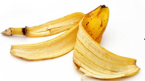 吃瓜不吐香蕉皮原声,揭秘网络热语的魅力与影响-第1张图片-国产精品黑料吃瓜网曝