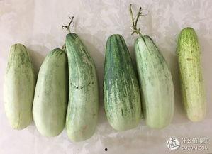 假装实际在吃瓜-第1张图片-国产精品黑料吃瓜网曝