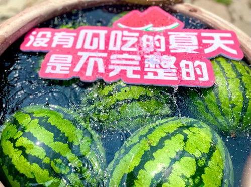 2024在线吃瓜网,在线吃瓜网带你回顾年度精彩瞬间-第2张图片-国产精品黑料吃瓜网曝