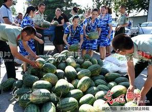 安徽校园暴力吃瓜,真相与反思-第2张图片-国产精品黑料吃瓜网曝