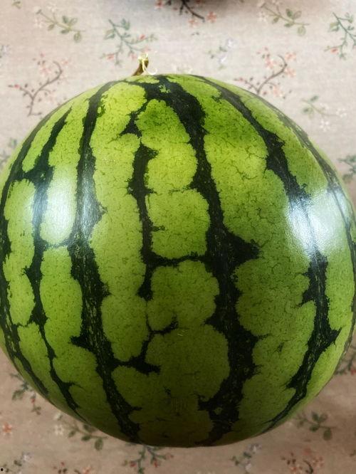 吃瓜表演技巧-第1张图片-国产精品黑料吃瓜网曝