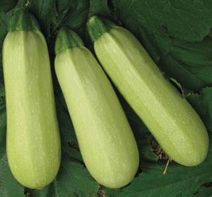 韩城吃瓜视频最新,揭秘娱乐圈最新热点事件-第1张图片-国产精品黑料吃瓜网曝