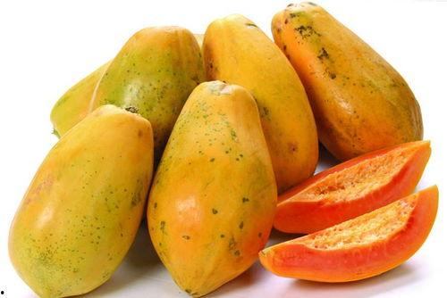 秋天吃瓜摄影,捕捉丰收季节的甜蜜瞬间-第2张图片-国产精品黑料吃瓜网曝