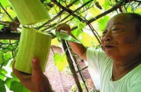 砍瓜咋样吃,从传统到创新，解锁美味新境界-第2张图片-国产精品黑料吃瓜网曝