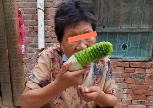 帮媳妇吃瓜,一起品味甜蜜的“吃瓜”时光-第2张图片-国产精品黑料吃瓜网曝