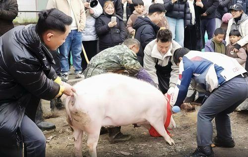 杀猪吃瓜,揭秘农村生活的酸甜苦辣-第2张图片-国产精品黑料吃瓜网曝