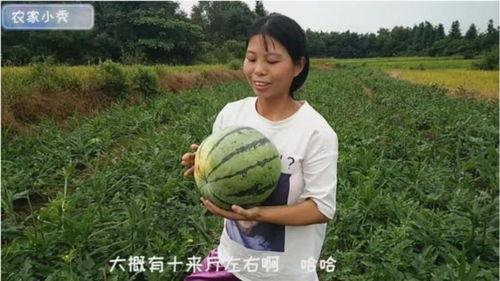 江家姑娘吃瓜-第2张图片-国产精品黑料吃瓜网曝