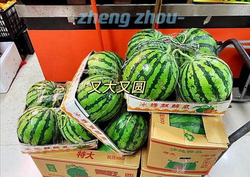 郑州摩友吃瓜-第2张图片-国产精品黑料吃瓜网曝