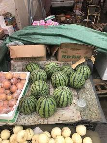 郑州摩友吃瓜-第3张图片-国产精品黑料吃瓜网曝