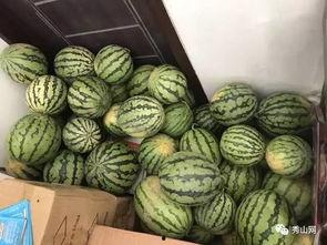 专门吃瓜群,网络社交新现象背后的故事-第2张图片-国产精品黑料吃瓜网曝