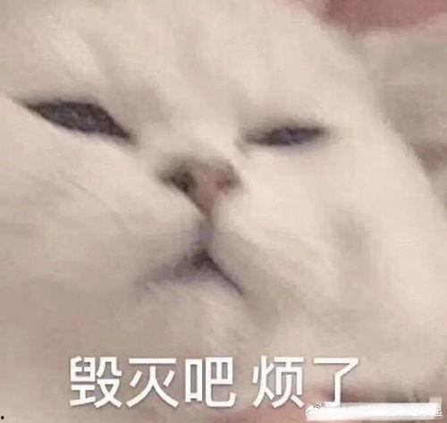 一手瓜吃瓜表情包图片,揭秘一手瓜吃瓜表情包的魅力-第1张图片-国产精品黑料吃瓜网曝