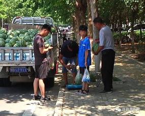 曹妃甸吃瓜群众视频,揭秘当地生活百态-第1张图片-国产精品黑料吃瓜网曝 曹妃甸吃瓜群众视频,揭秘当地生活百态-第1张图片-国产精品黑料吃瓜网曝