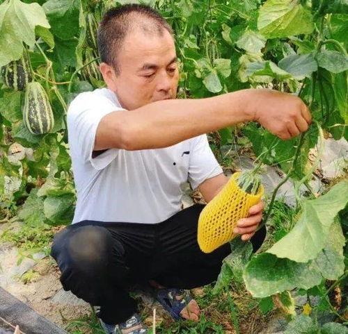 吃瓜了爆大料,吃瓜了!爆大料揭秘娱乐圈惊天秘密-第3张图片-国产精品黑料吃瓜网曝 吃瓜了爆大料,吃瓜了!爆大料揭秘娱乐圈惊天秘密-第3张图片-国产精品黑料吃瓜网曝